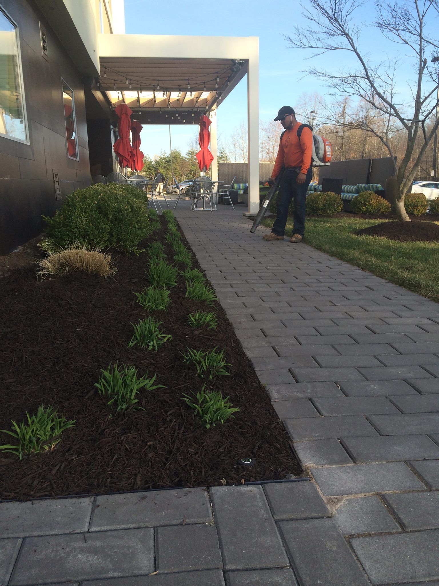 Man spraying weed killer on a brick pathway next to a landscaped garden and building.
