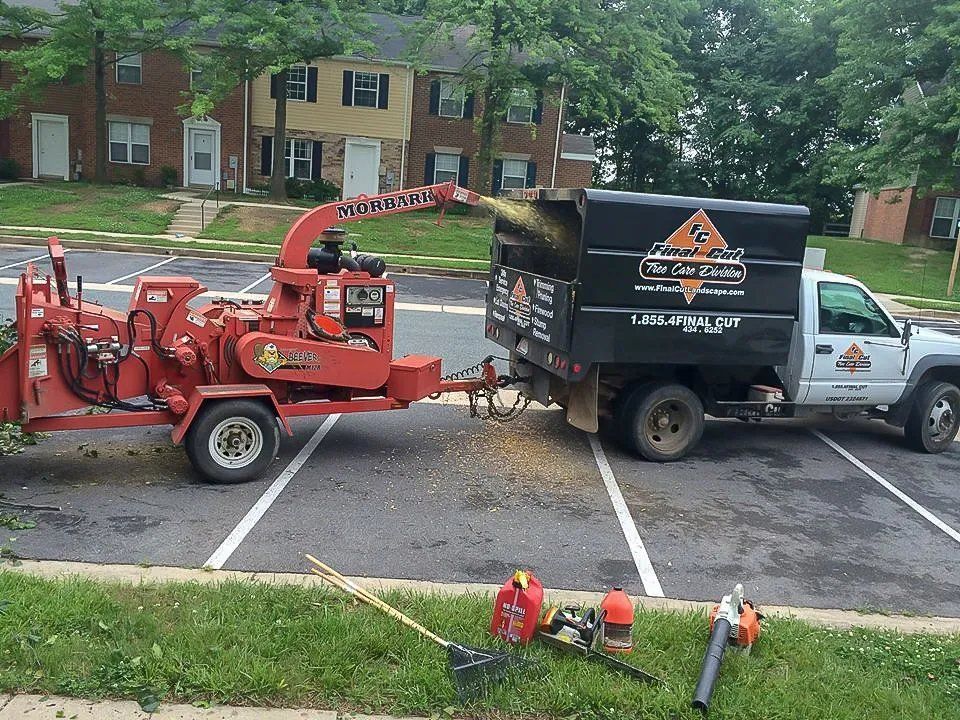 Red wood chipper loading wood chips into a black truck in a parking lot.