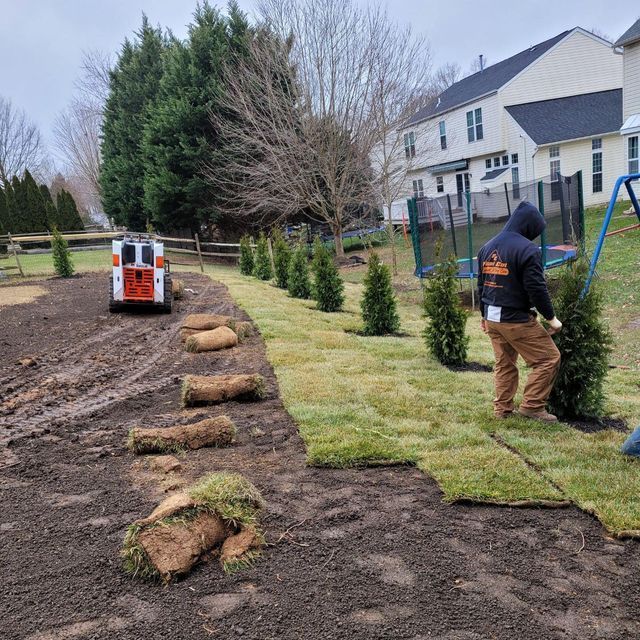 Man laying sod in a backyard, with a row of small trees. A small skid steer is parked nearby.