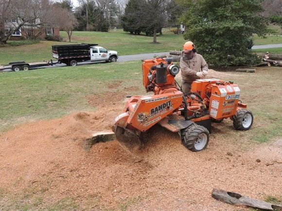 Professional stump grinding service in Maryland using commercial stump removal equipment.