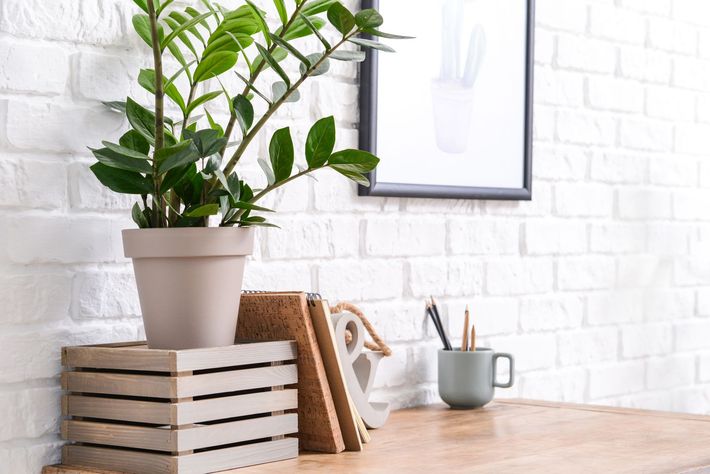 A potted plant is sitting on top of a small wooden crate on a wooden desk.