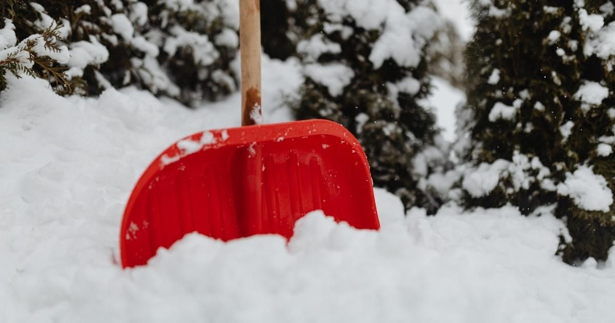Red snow shovel stuck in deep snow, with evergreen trees in the background.