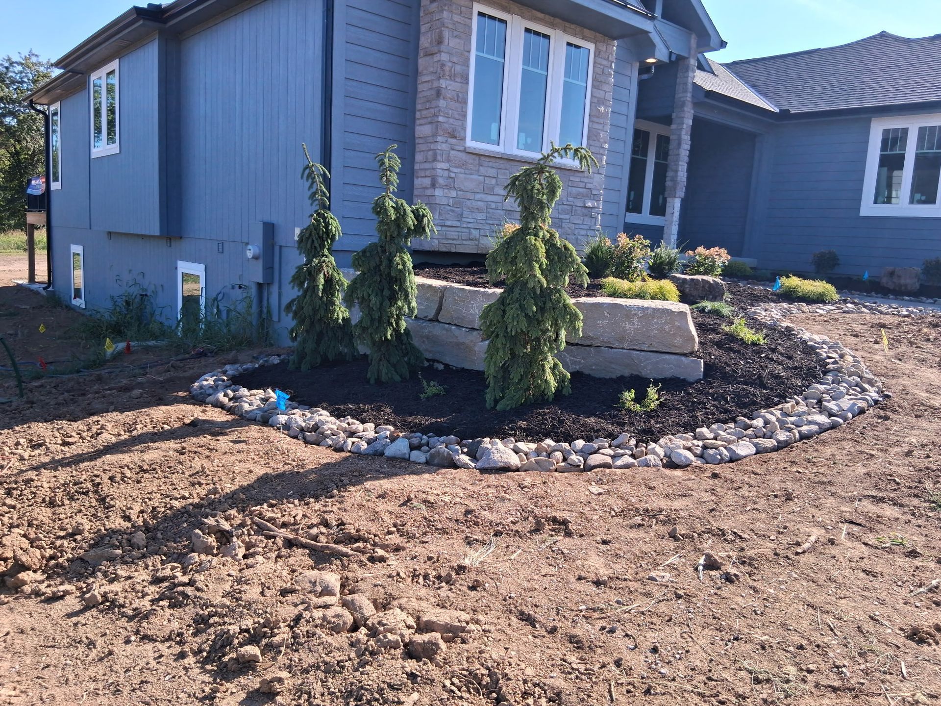 Front yard landscaping with evergreen trees, rock border, and blue house.