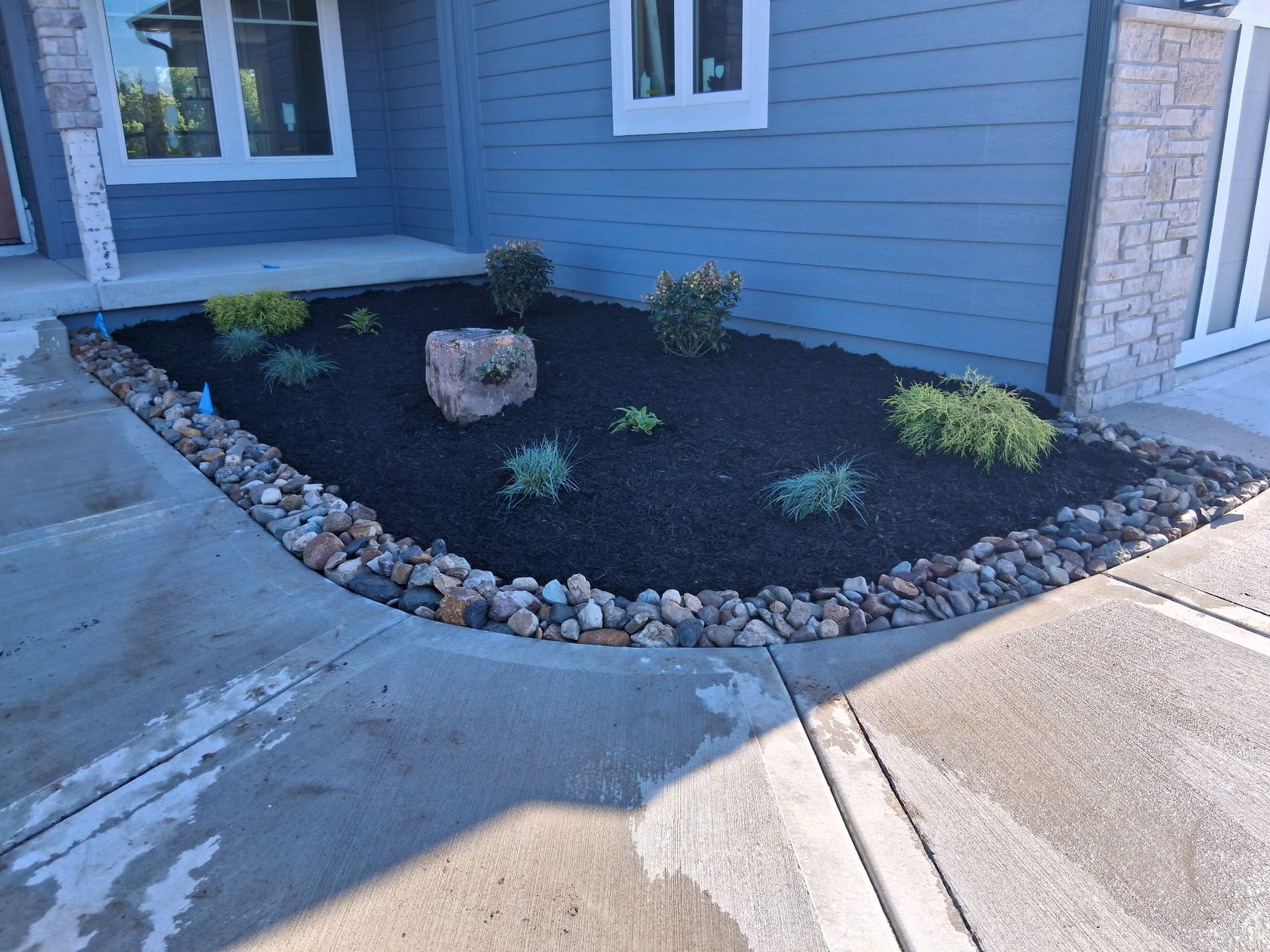Front yard landscaping with black mulch, rocks, and small plants bordering a concrete walkway.