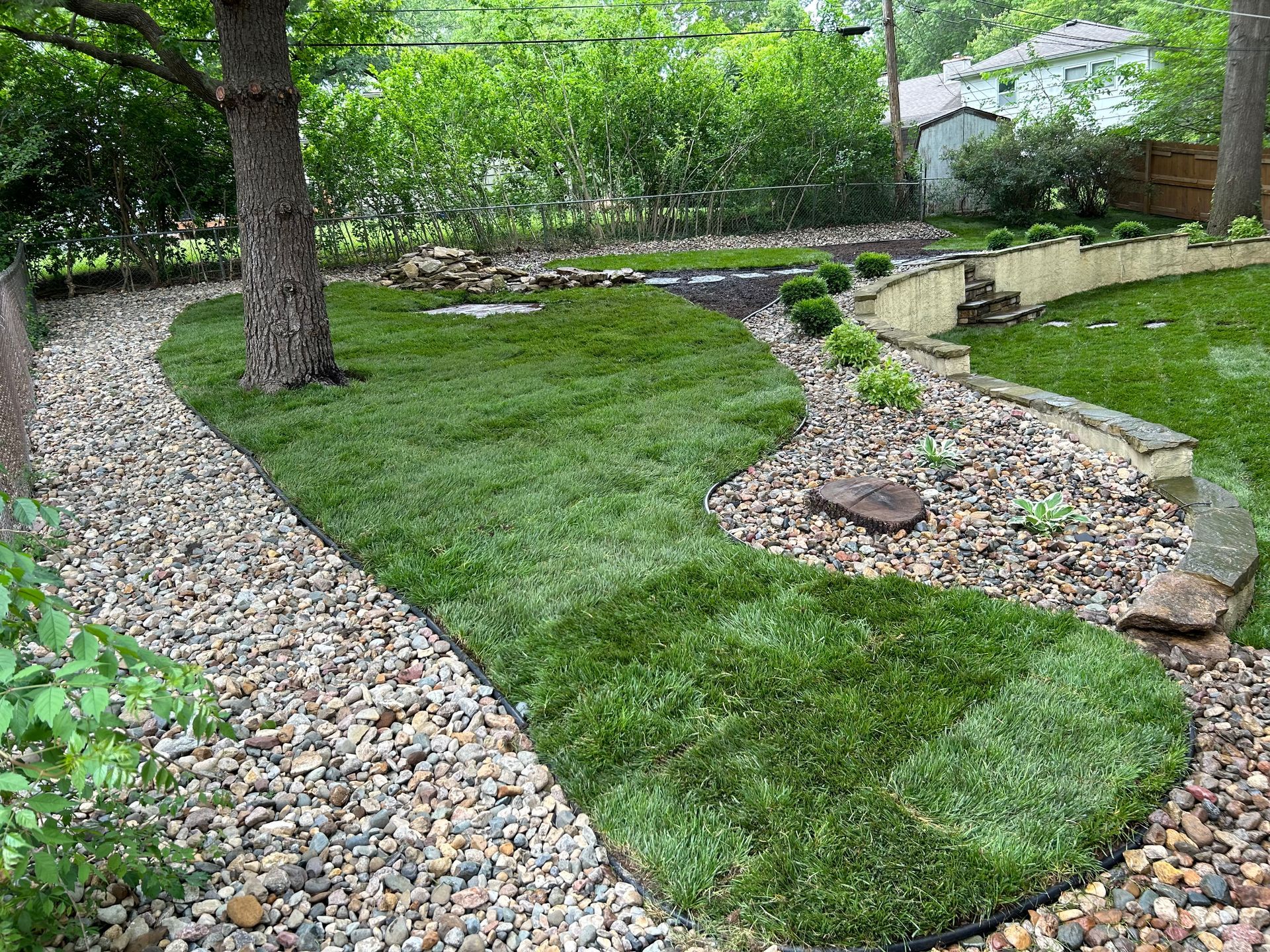A landscaped backyard with newly laid sod and a rock pathway surrounding a tree.
