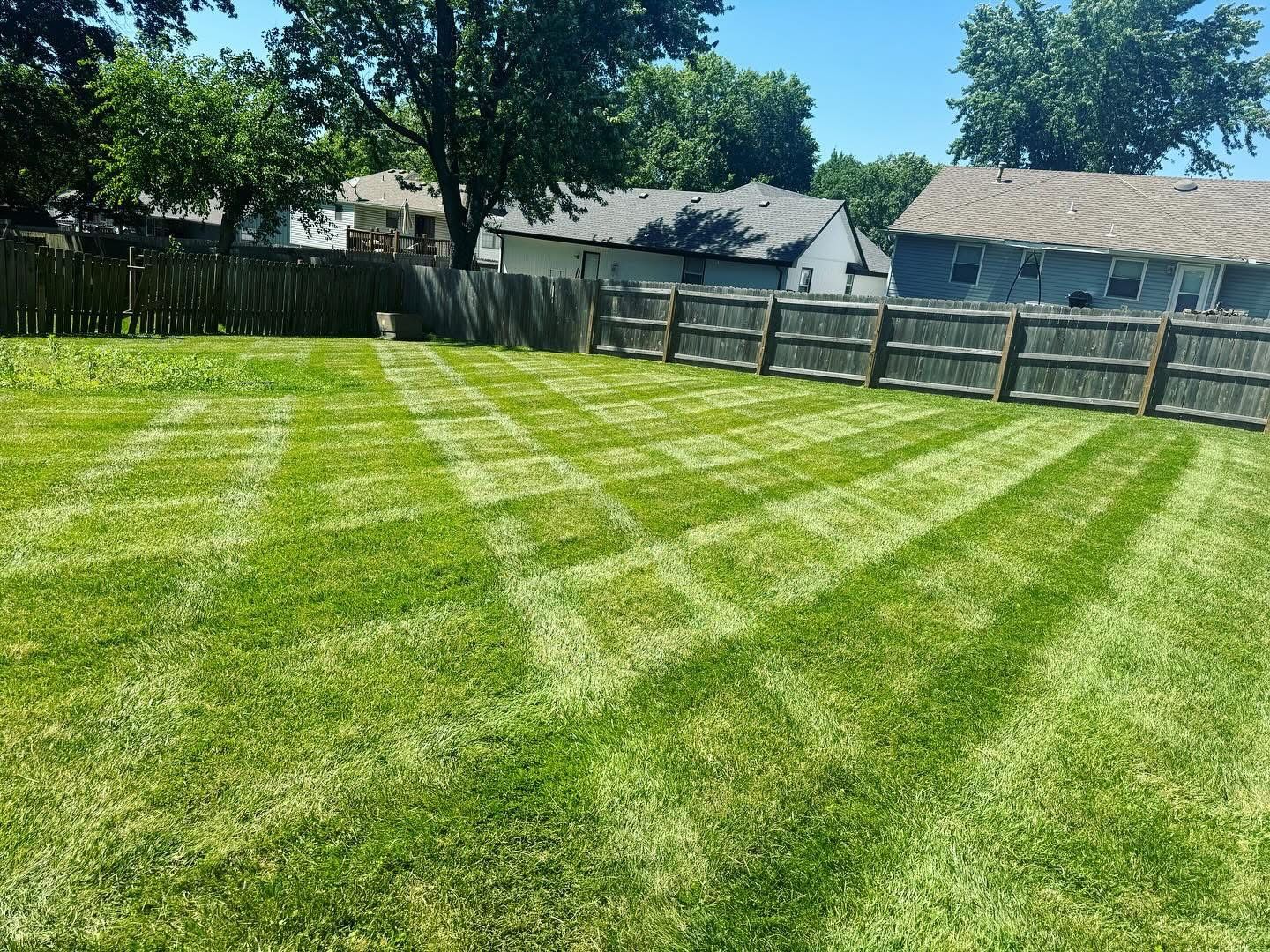 Lawn mowed in a geometric pattern; green grass, brown fence, suburban backyard on a sunny day.