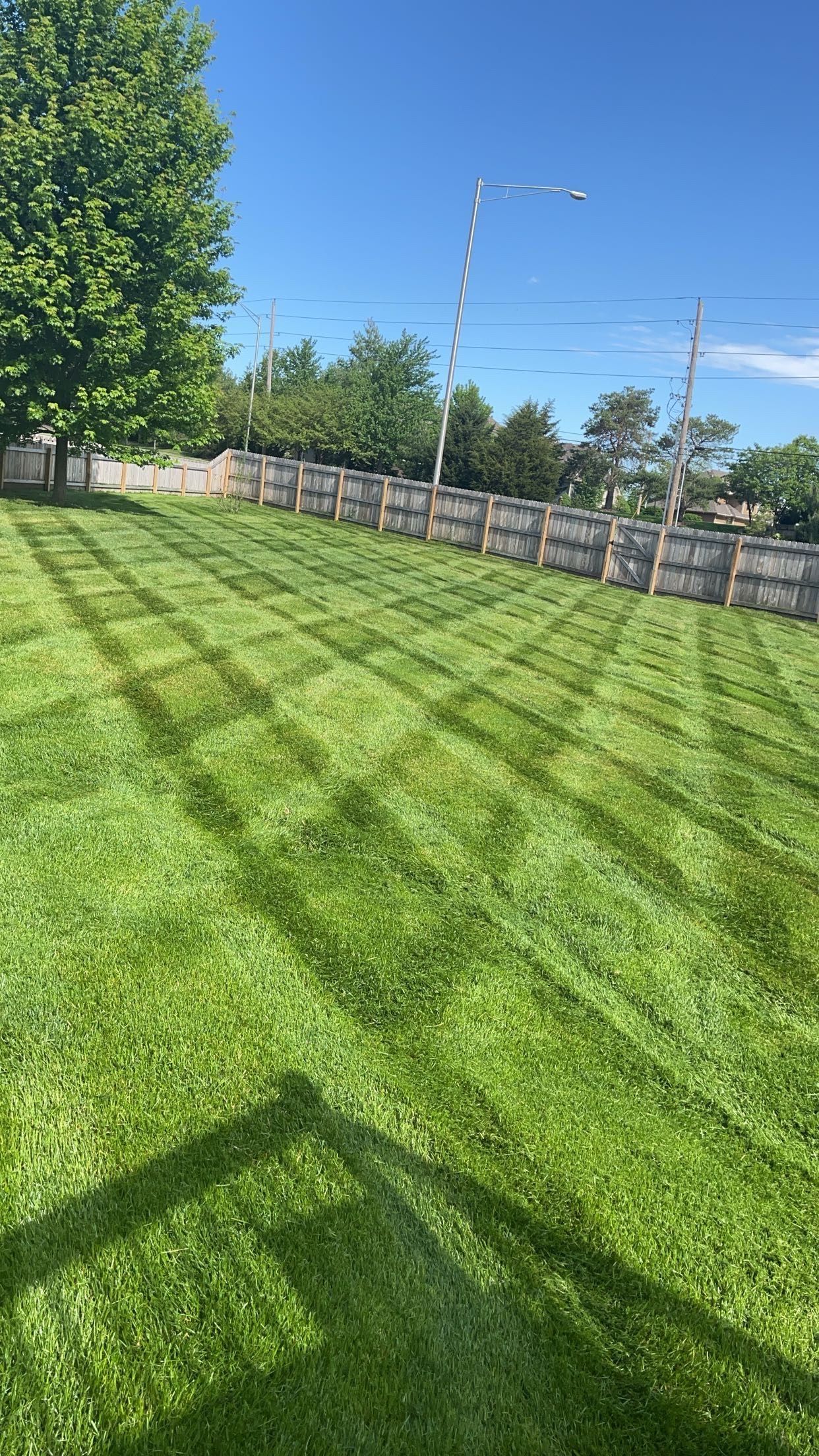 Lawn with green stripes, next to a concrete wall under a blue sky, tree in corner.