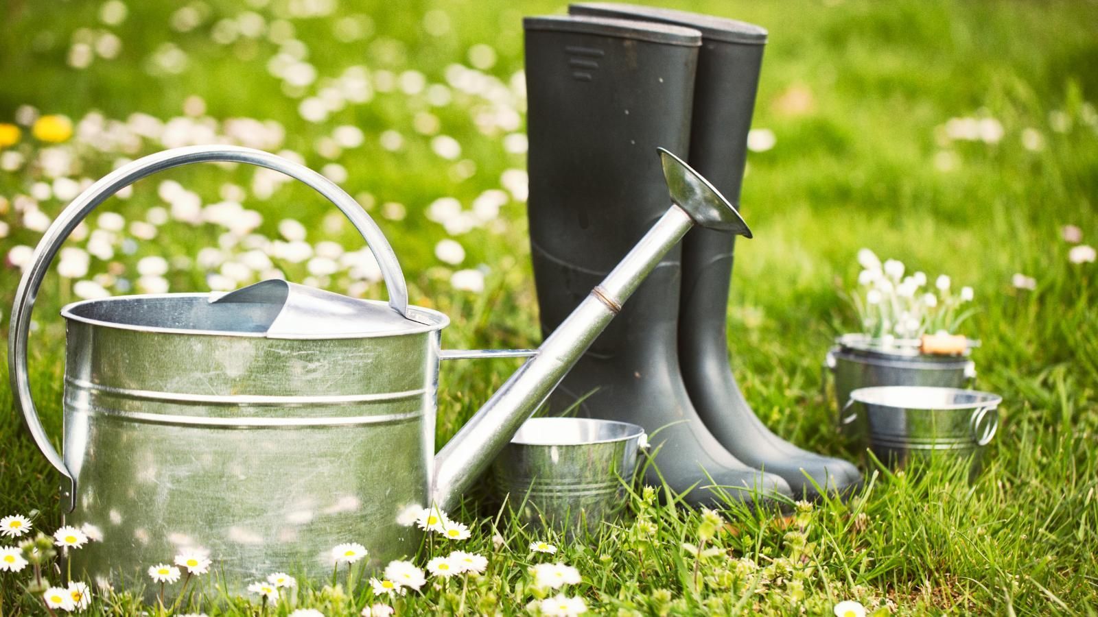 Watering can, rubber boots, and small metal buckets in a grassy field with wildflowers.