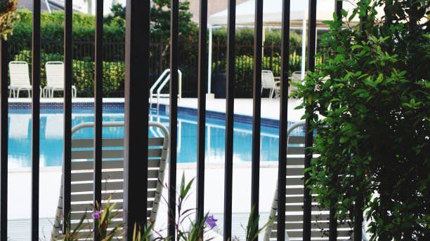 Plants Growing In Swimming Pool - Lancaster, CA - Sav-On Fence Co.