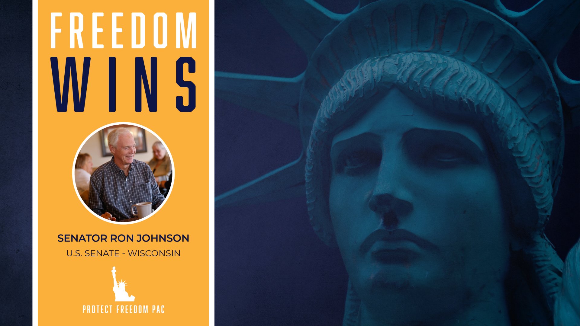 Protect Freedom PAC Congratulates Endorsed Candidates