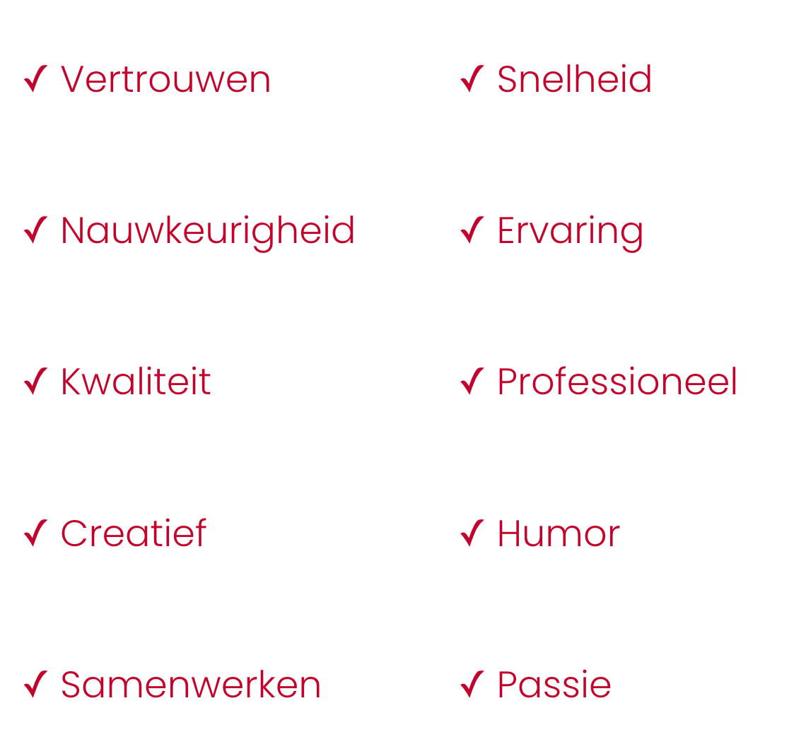 Lijst met aangevinkte woorden: vertrouwen, snelheid, nauwkeurigheid, ervaring, kwaliteit, professionaliteit, creativiteit, humor, samenwerking, passie.