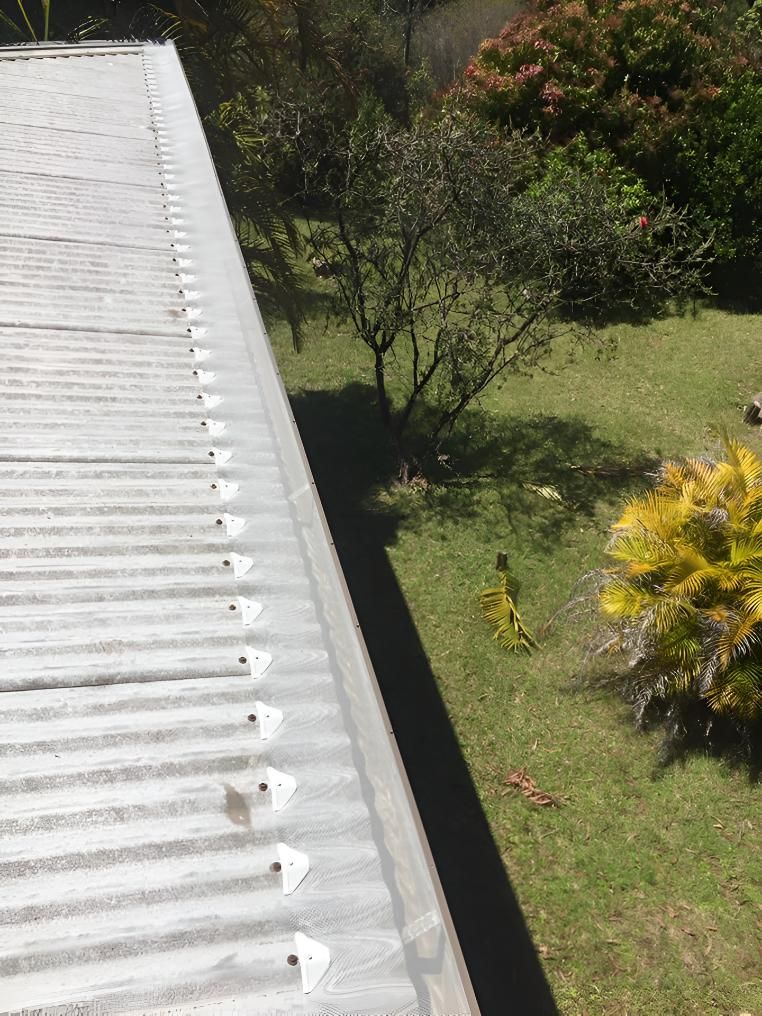 Clean Gutter — Hastings Services in Bonny Hills, NSW