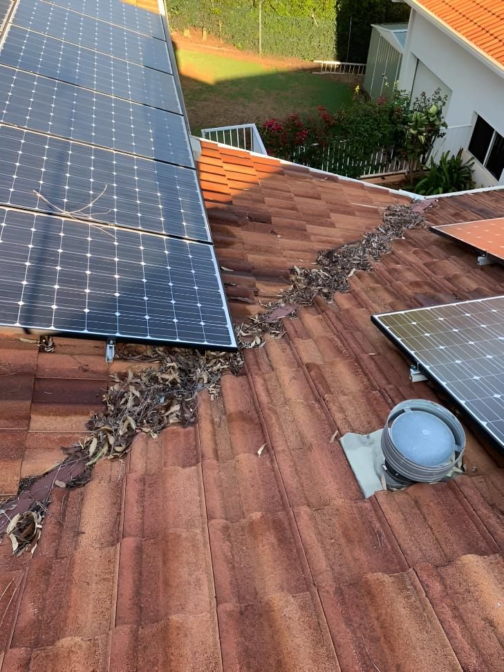 Solar Panel Being Clean — Hastings Services in Port Macquarie, NSW