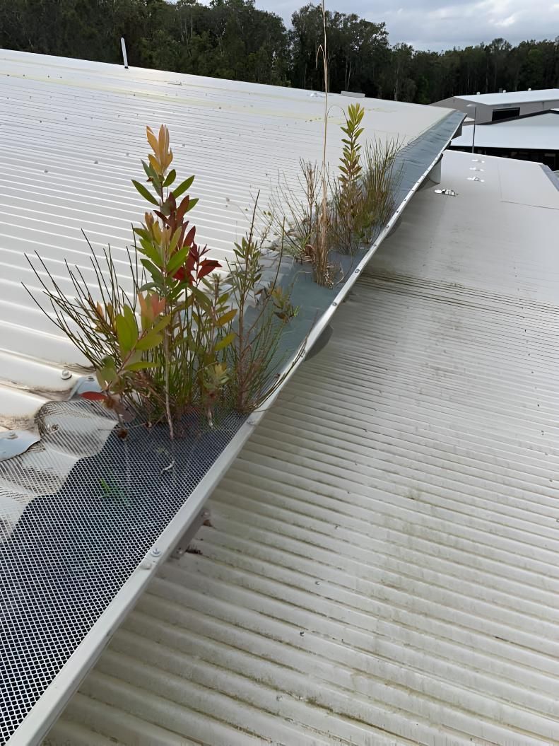 External House Getting Clean — Hastings Services in Laurieton, NSW