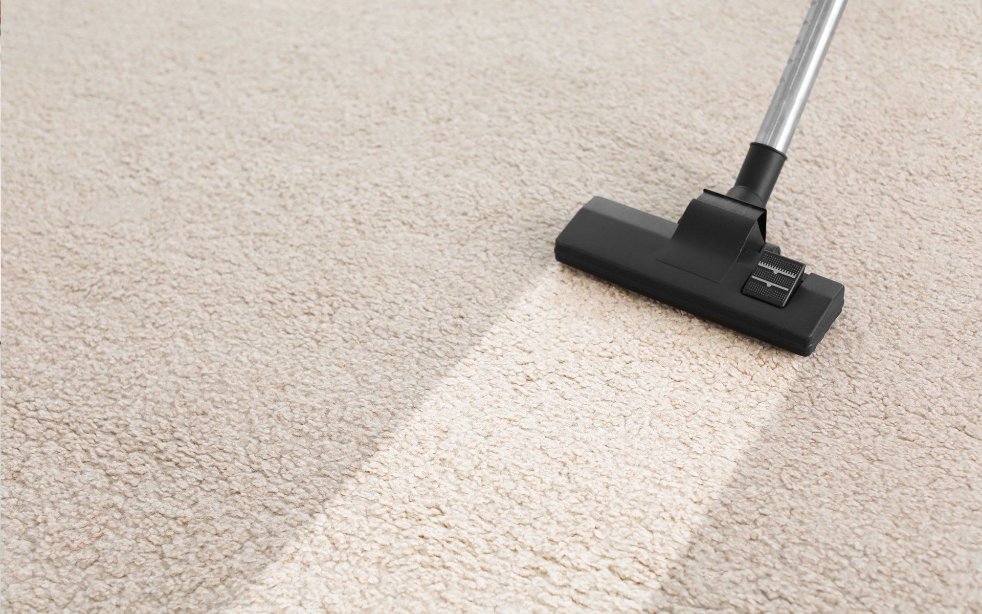 Specializing in Commercial Carpet Cleaning
