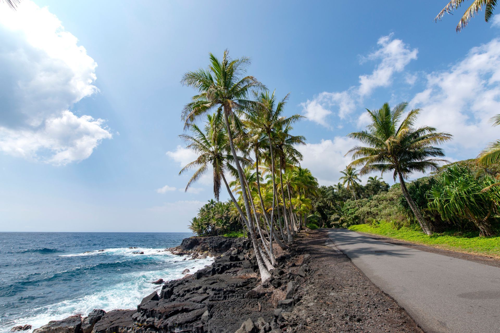 A road leading to the ocean with palm trees on the side