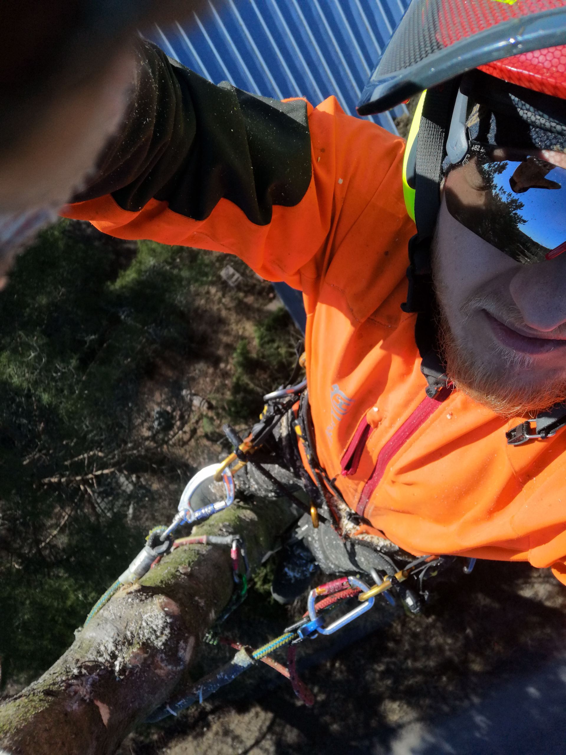 Arboristi palvelut Pori