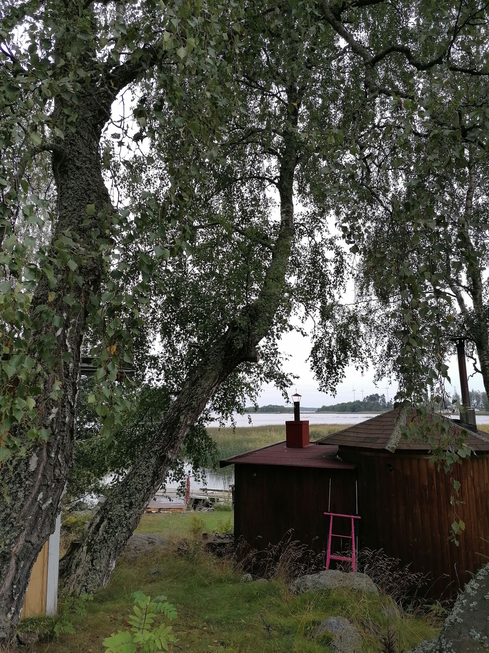 Puunkaato
Kokemäki