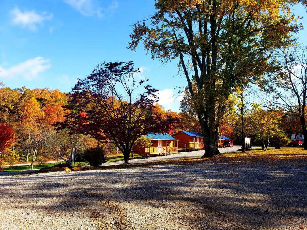 Autumn park with colorful trees, a gravel area, and a small building under a blue sky