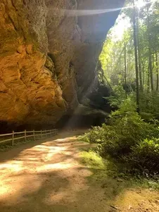 Sunlit dirt path beside a towering rock overhang and green forest