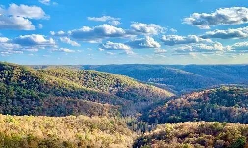 Wide mountain valley with autumn forest and a blue sky dotted with clouds