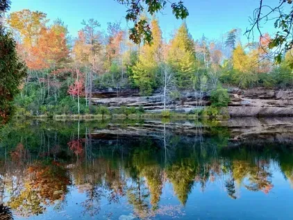 Autumn trees reflected in a calm lake beneath a clear blue sky