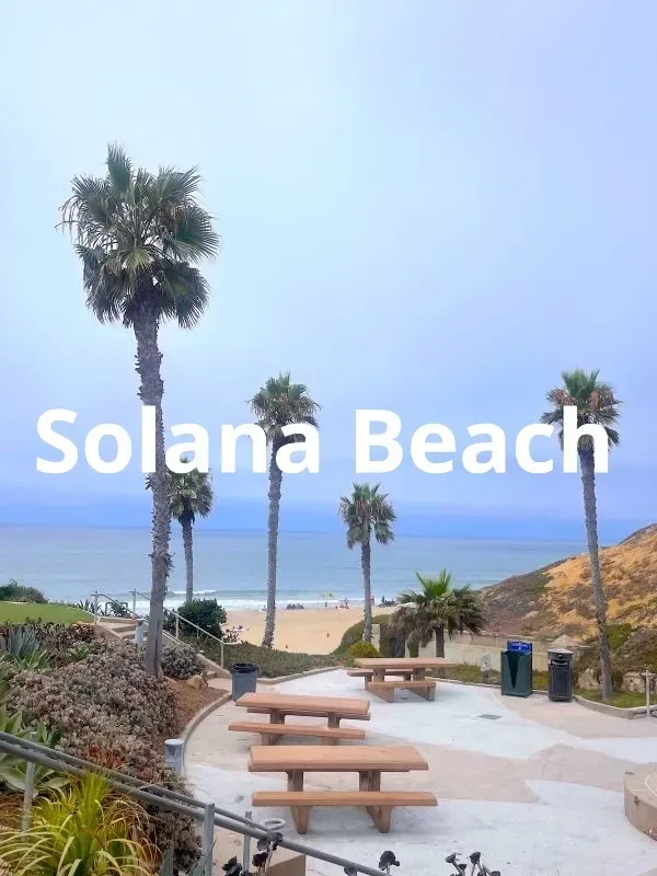 Over looking the beautiful cliffs and beach at Fletcher Cove in Solana Beach.