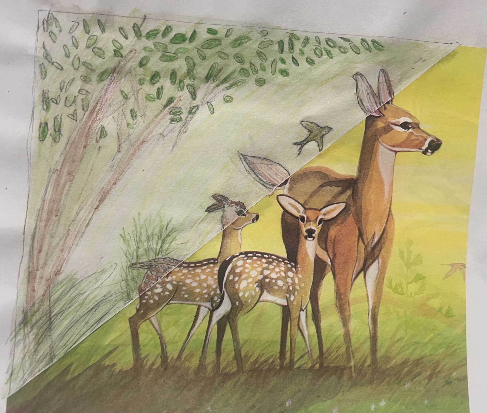 Mirror Art - Deer in a field