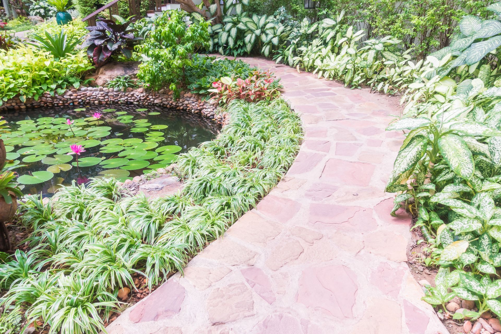Curving pink stone path beside a lily pond in a lush green garden