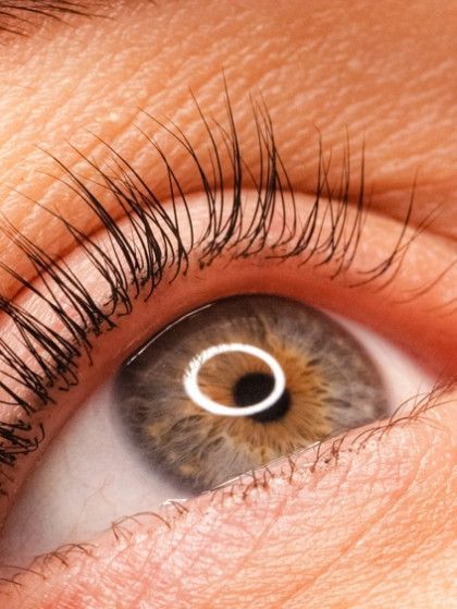 Lash and Brow services in Evergreen, Colorado at Lela Skin Care and Facials
