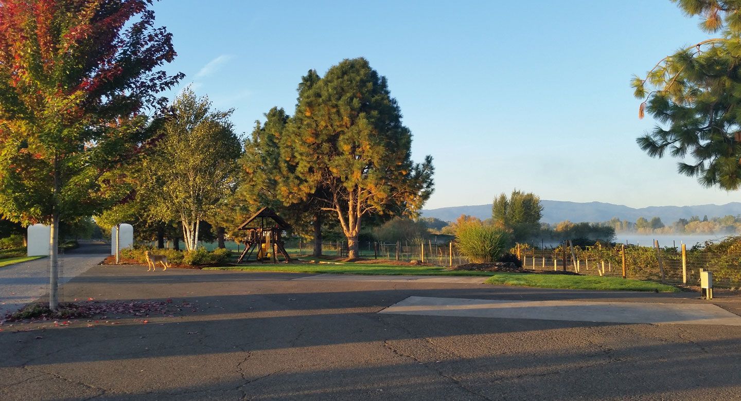 A parking lot with trees and a lake in the background.