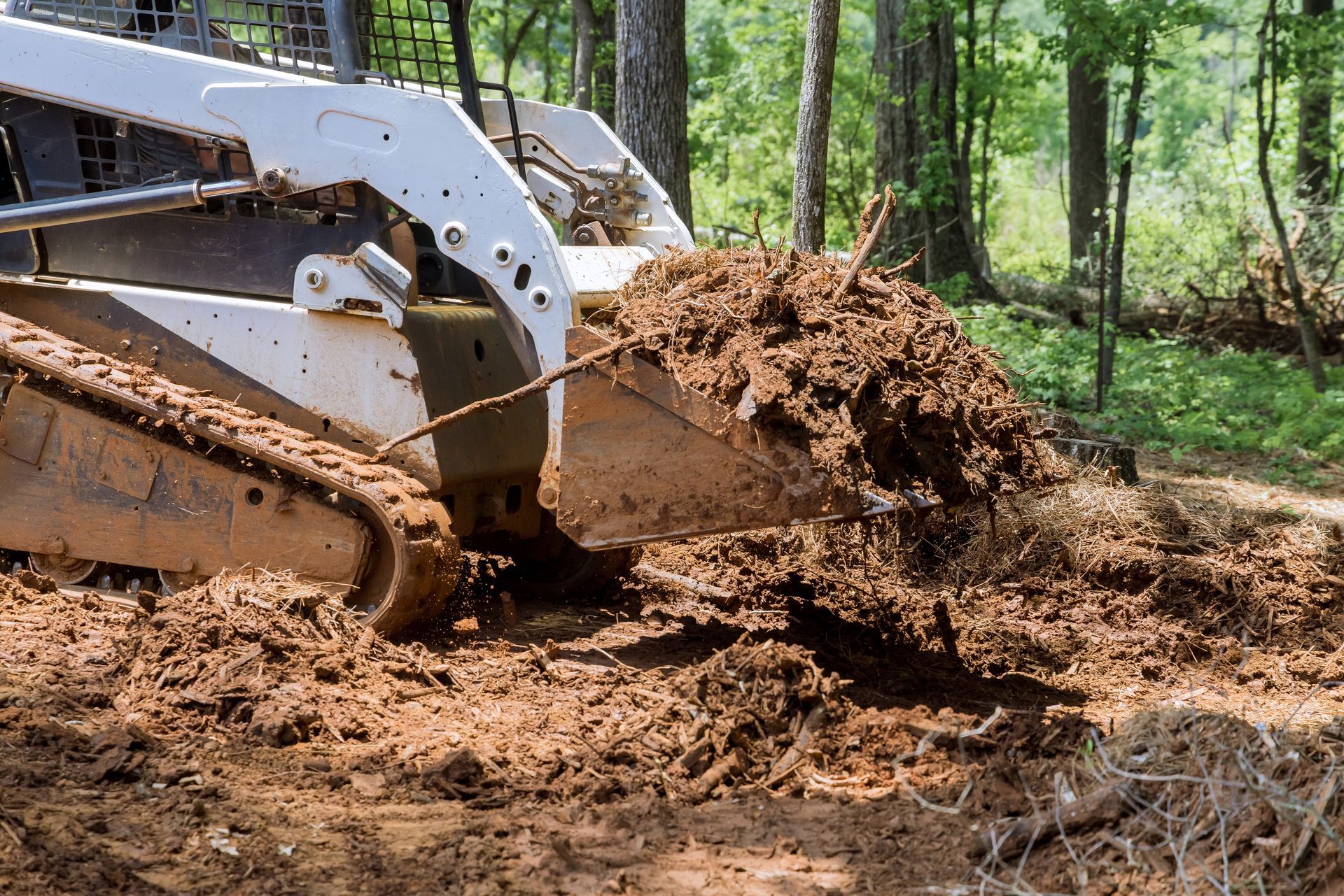 Land & fenceline clearing