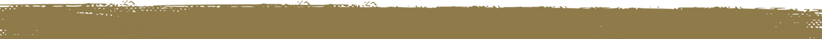 Blurry landscape of tan and white tones, likely a field or plain.