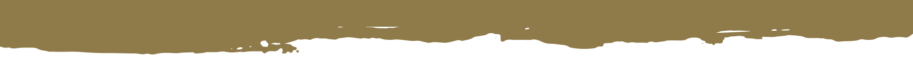 A blurry horizontal line in a sepia tone. Possibly a border or a blurred horizon.