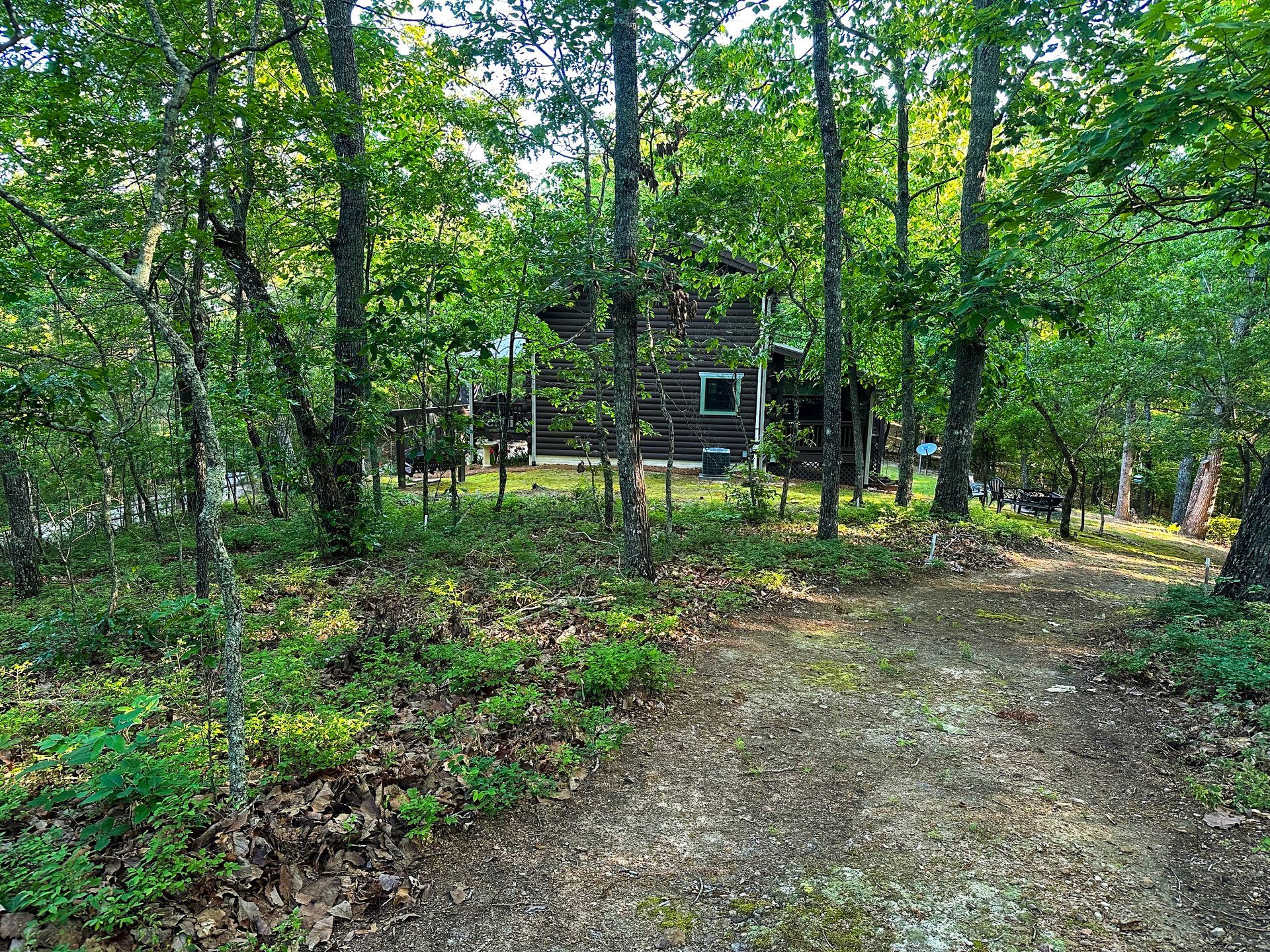 A dirt road leading to a log cabin in the middle of a forest.