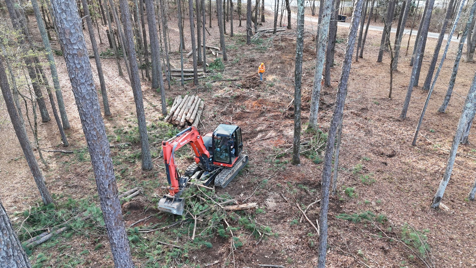 An excavator clears trees in a forest. Logs and debris surround the machine, which is red and black.