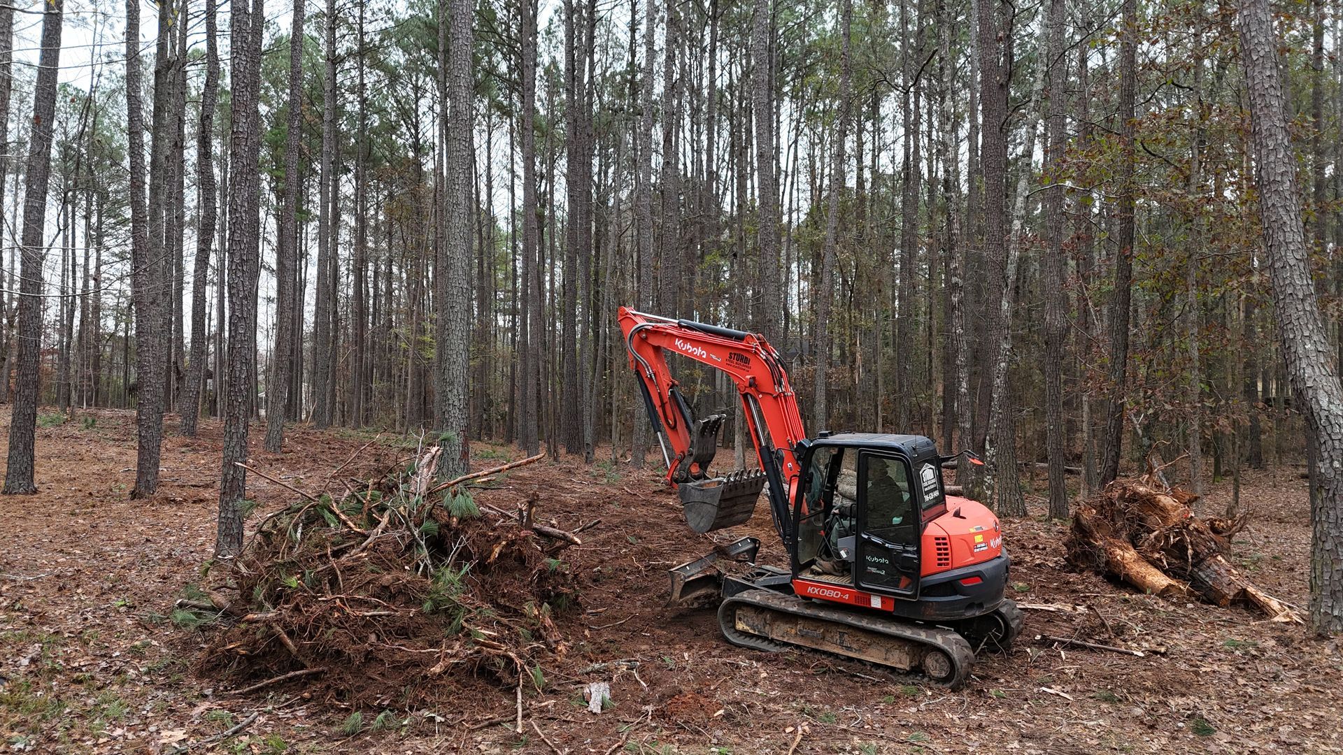 Red excavator clearing brush in a pine forest, with piles of cut branches and logs nearby.