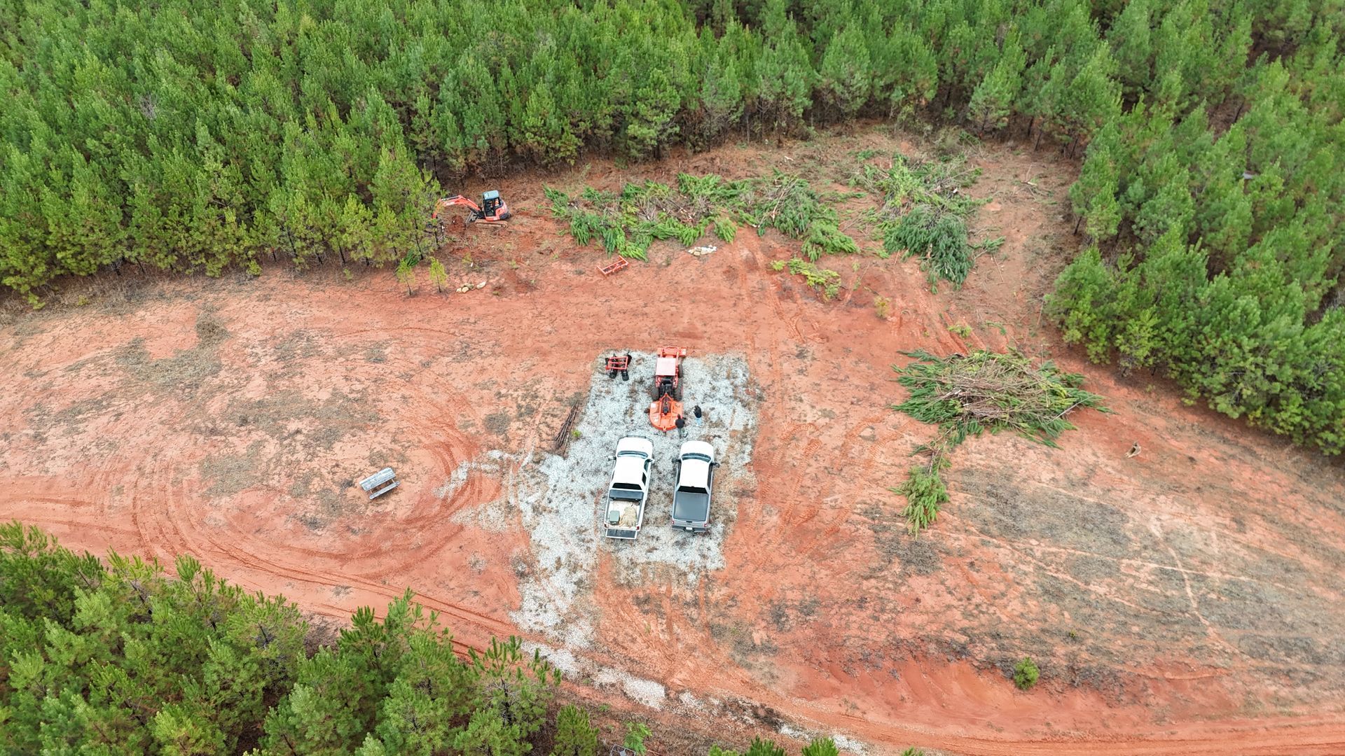 Clearing in a pine forest; machinery, trucks, and cut brush on red earth.