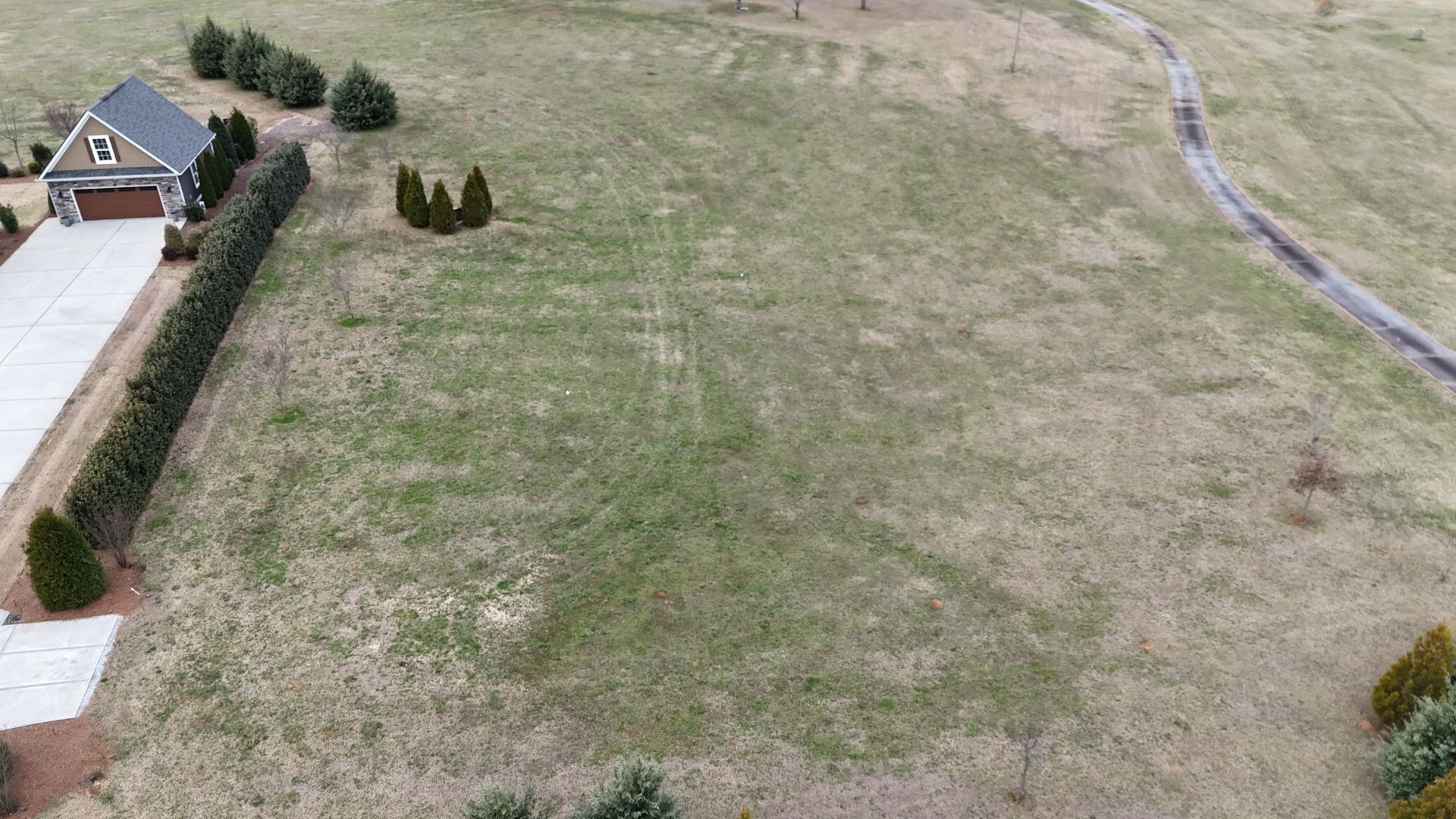 Aerial view of a grassy vacant lot beside houses and a road, with a few scattered trees.