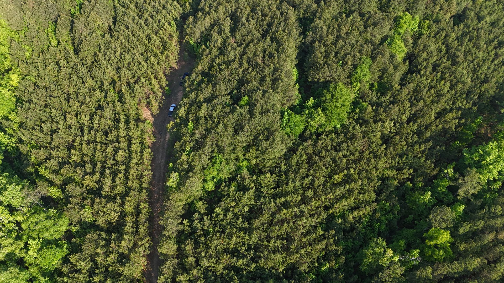 Aerial view of a narrow dirt path cutting through dense green forest canopy