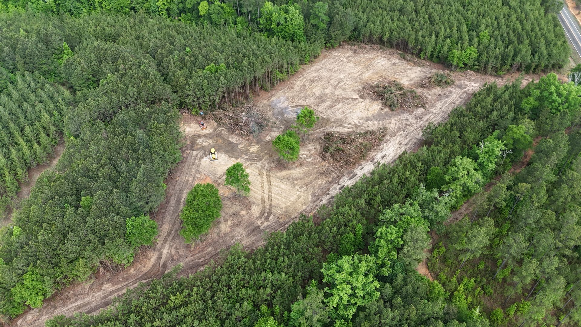 Aerial view of a cleared patch amid dense green forest, with a narrow dirt path cutting through.
