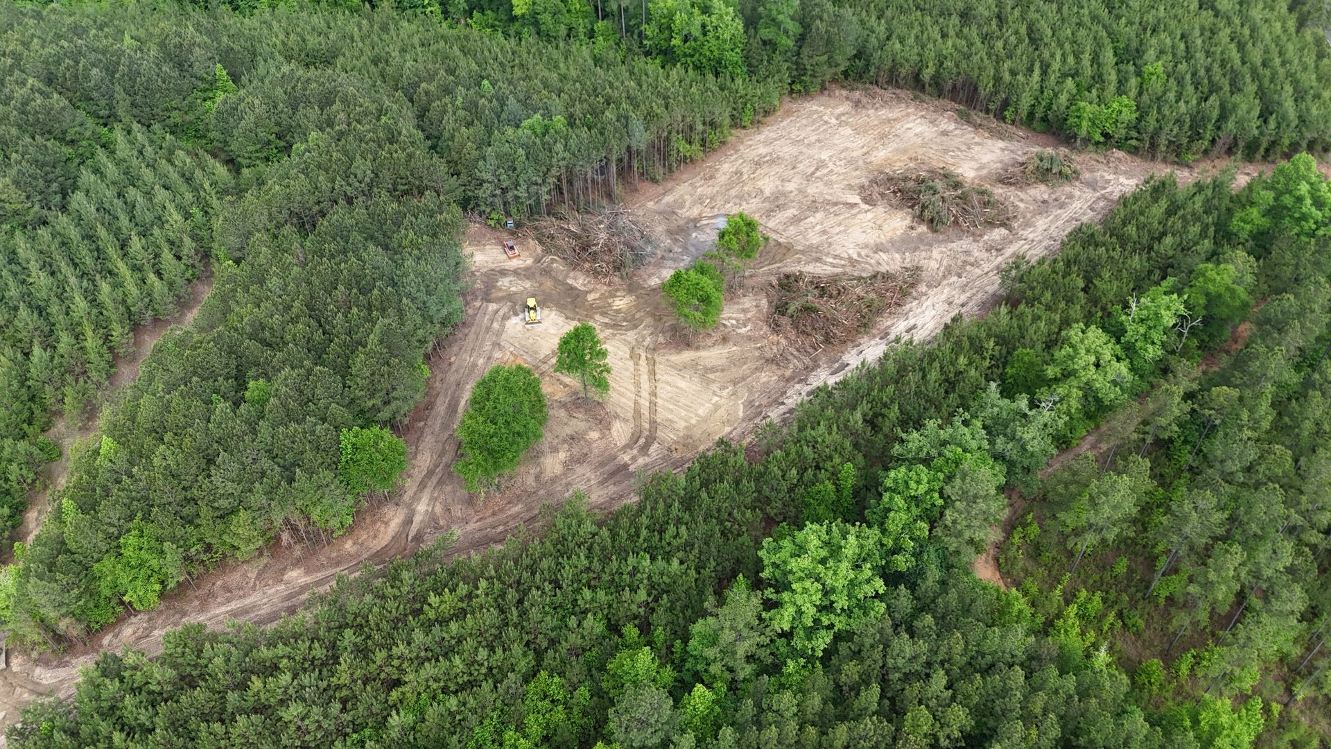 Aerial view of a forest clearing with dirt roads and patches of exposed soil surrounded by dense green trees