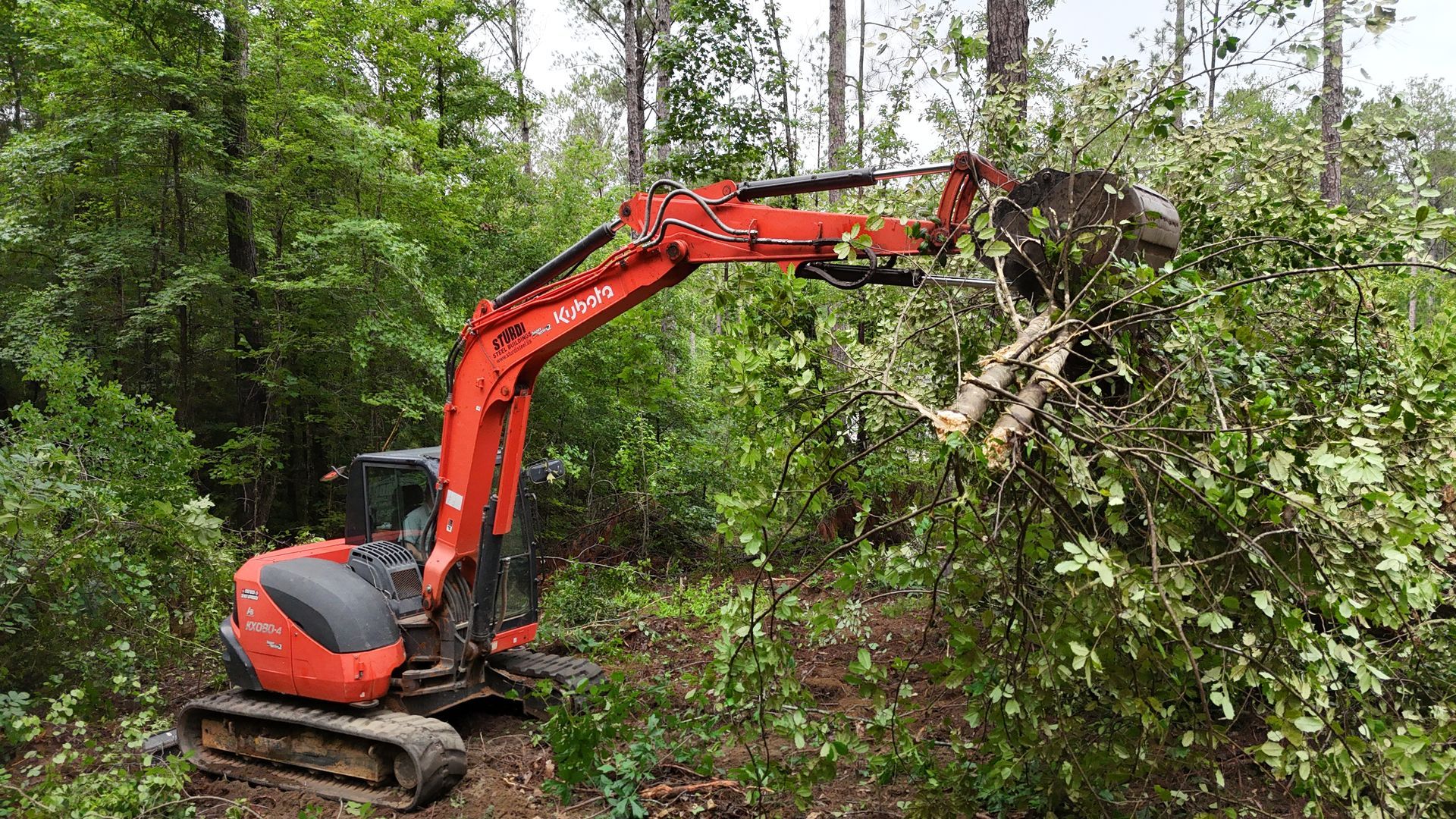 Red excavator clearing brush in a wooded area