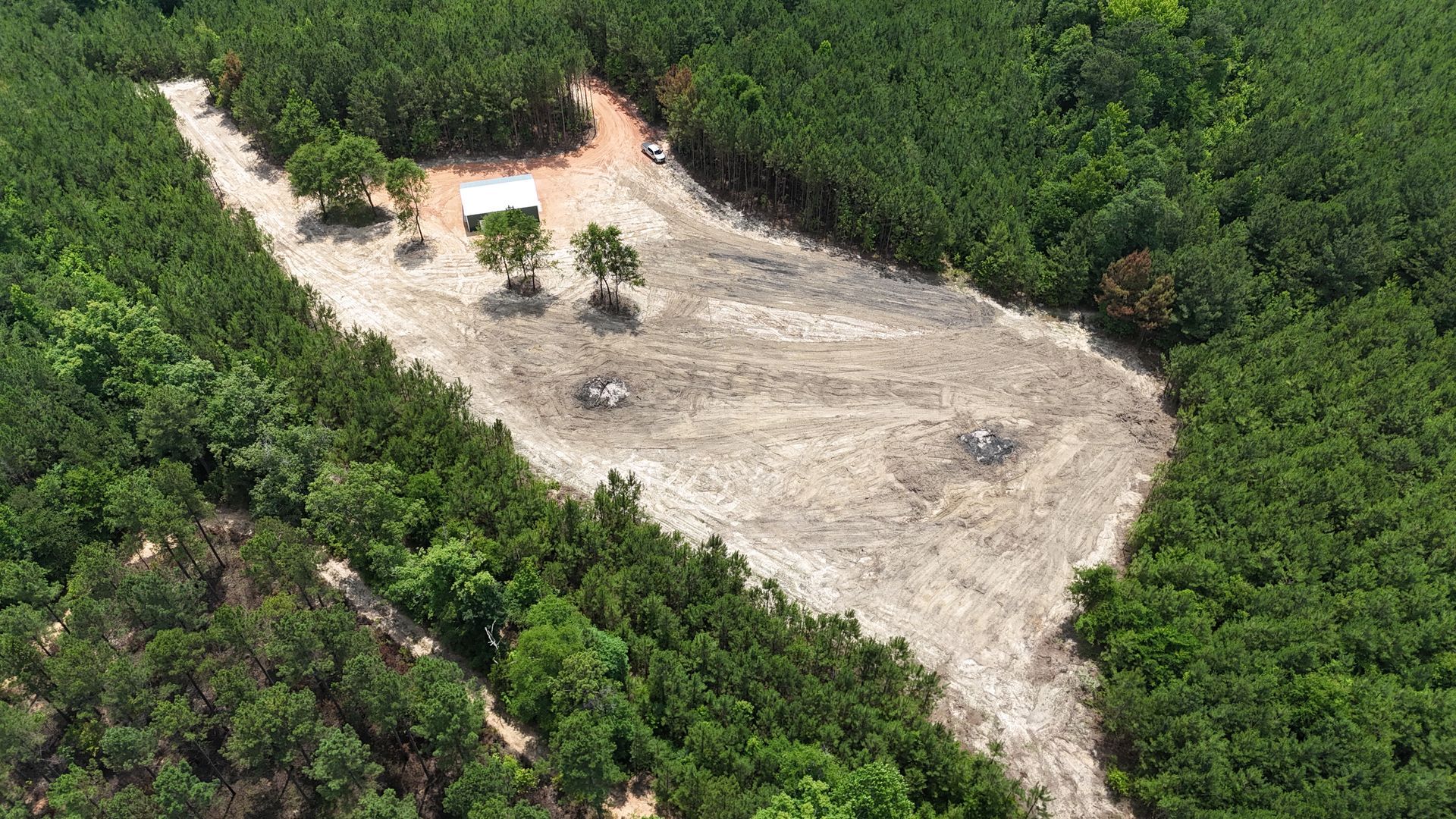 A small clearing in dense green forest with a few young trees and a dirt patch near the top left.