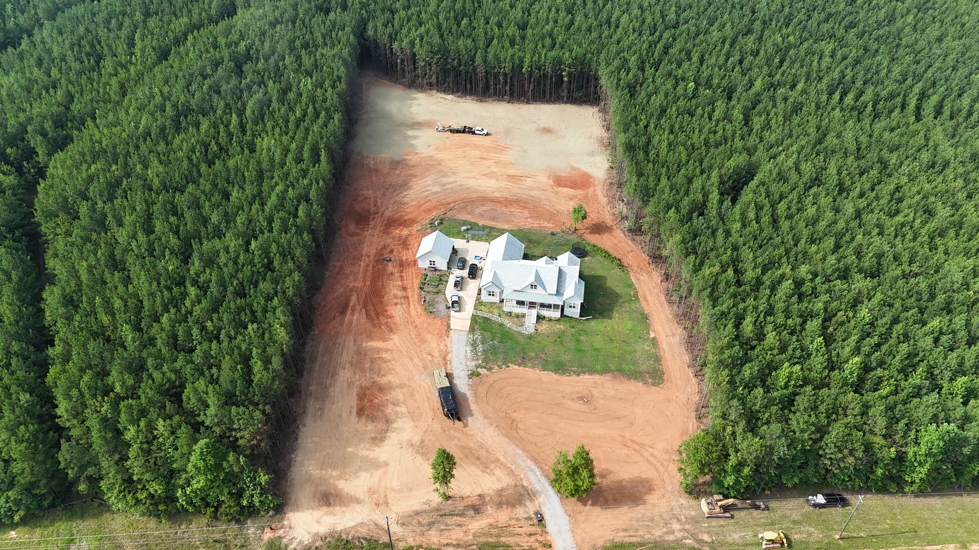 A small clearing in dense green forest with a few young trees and a dirt patch near the top left.
