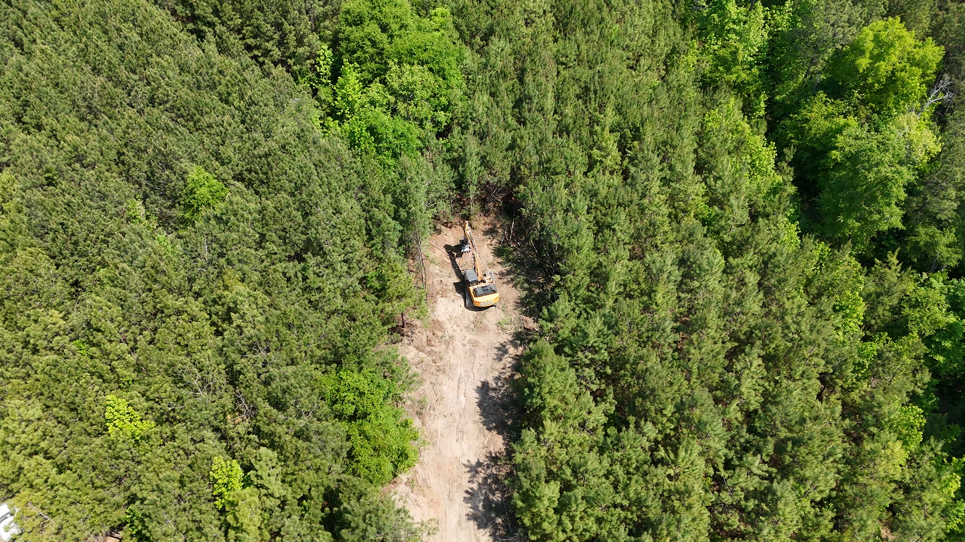 Aerial view of two people on a sandy path through dense green forest.