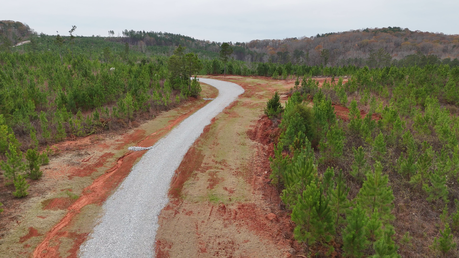 An aerial view of a dirt road going through a forest.