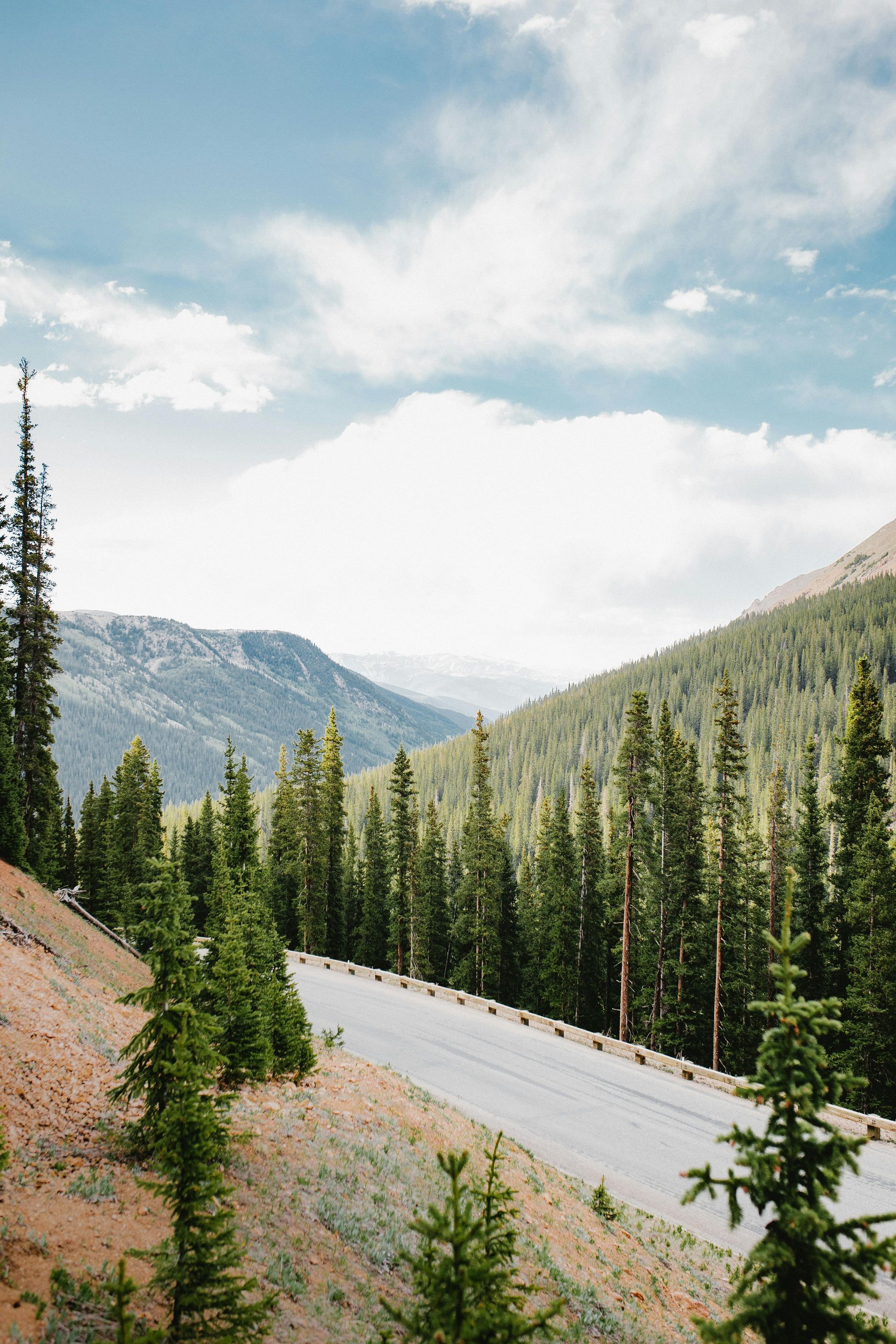 nature image at ripple and root therapy in colorado