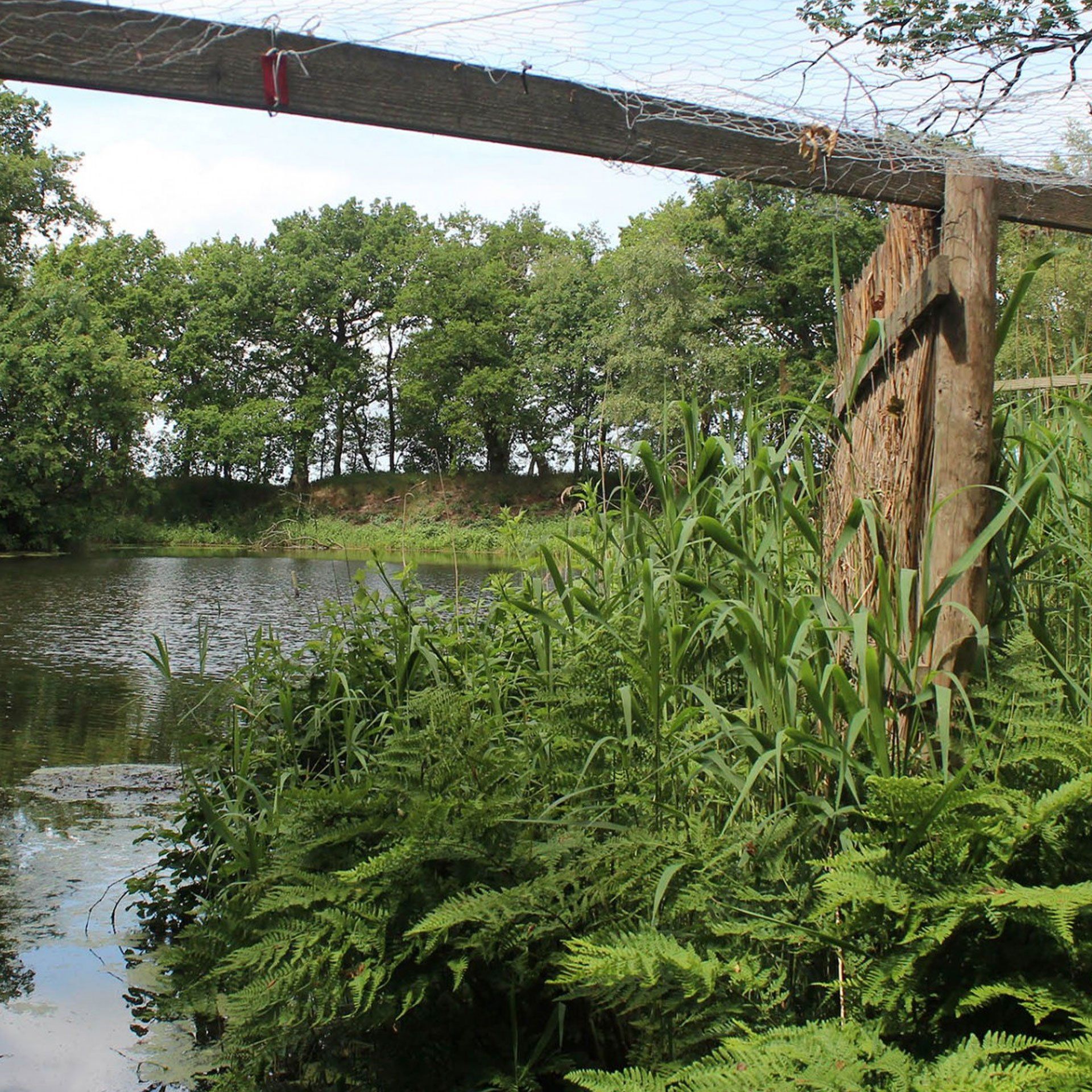 Einekoaien Lytse Geast en Ketelermar