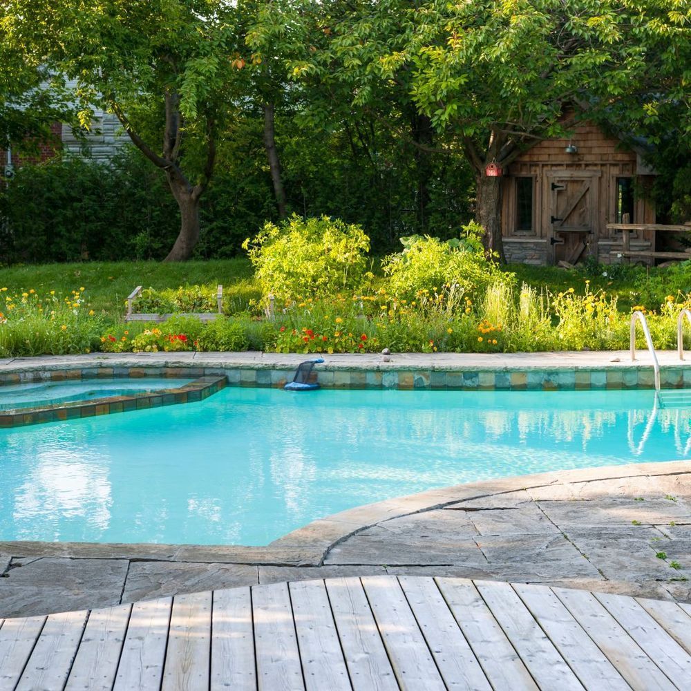 Backyard swimming pool with turquoise water, stone deck, and lush green trees and shrubs nearby